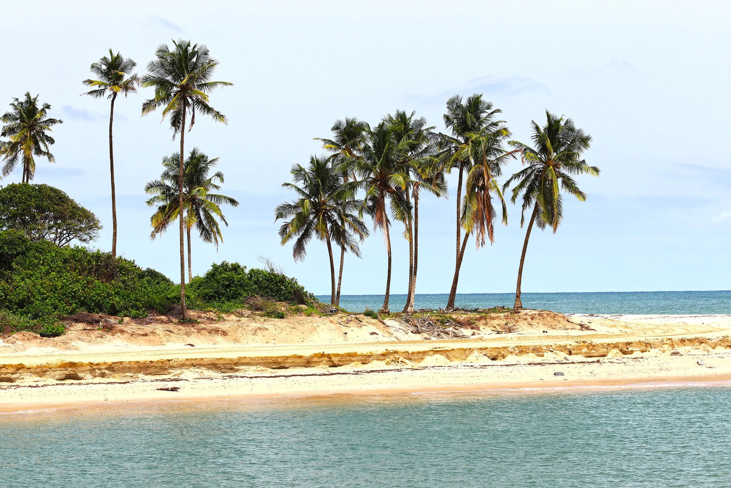 Palm-lined beach beside the Dangote Refinery, Ibeju-Lekki