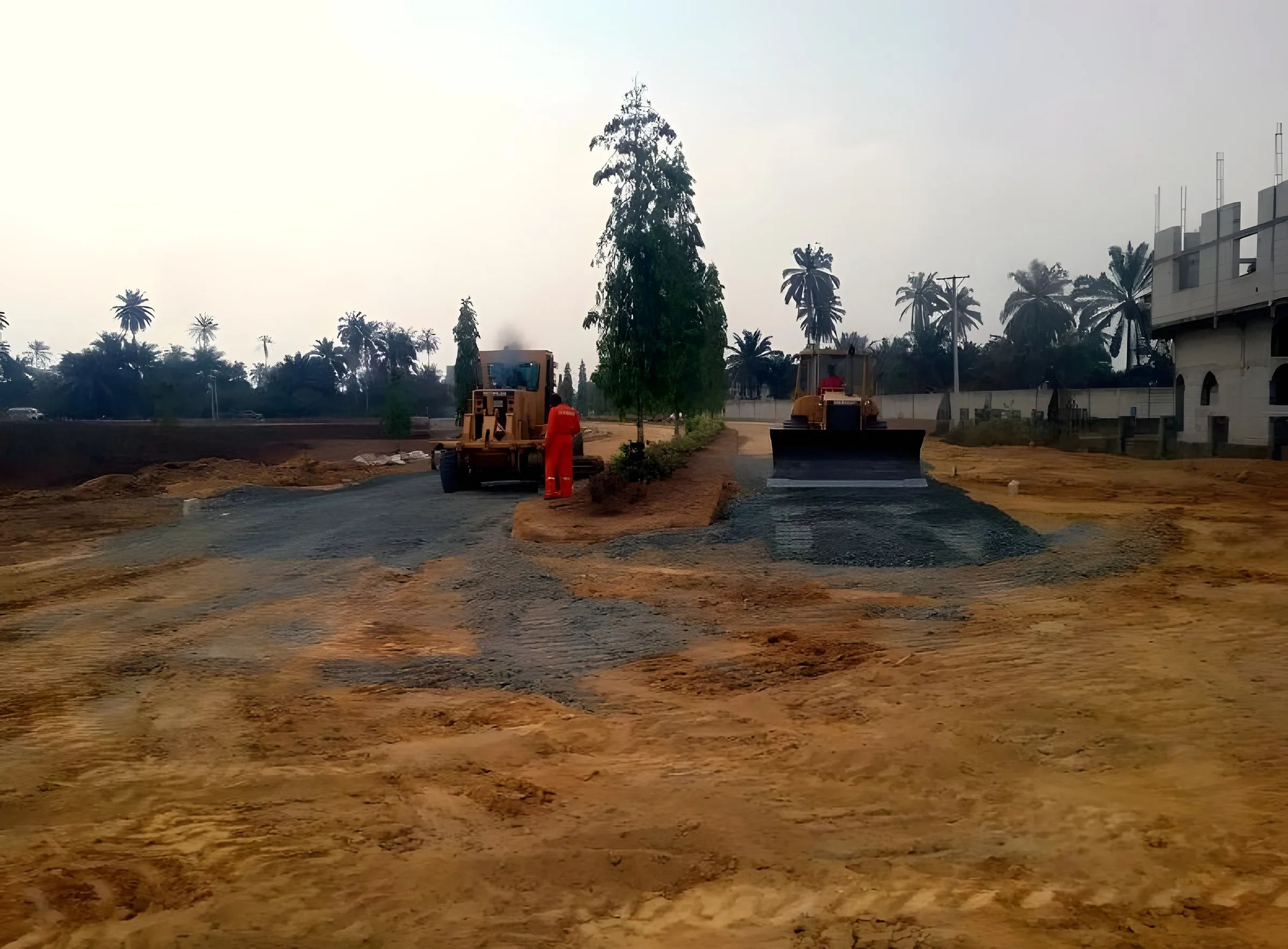 Grader clearing raw estate land beside palms