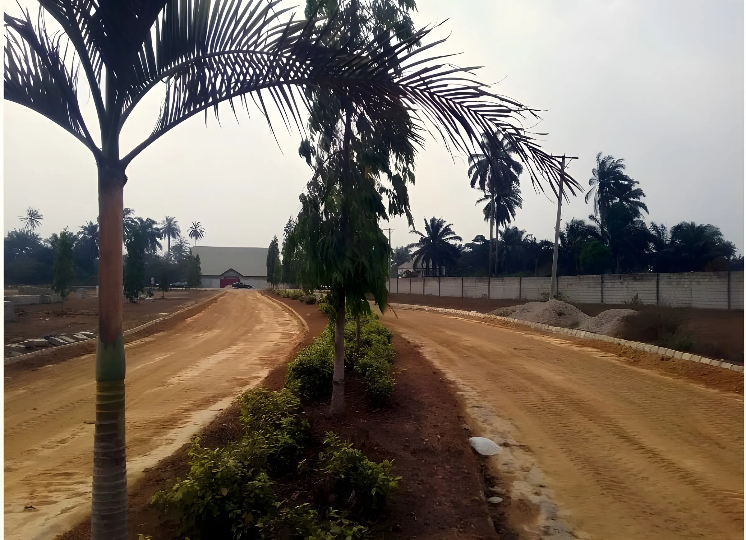 Site progress · Boulevard with planted median