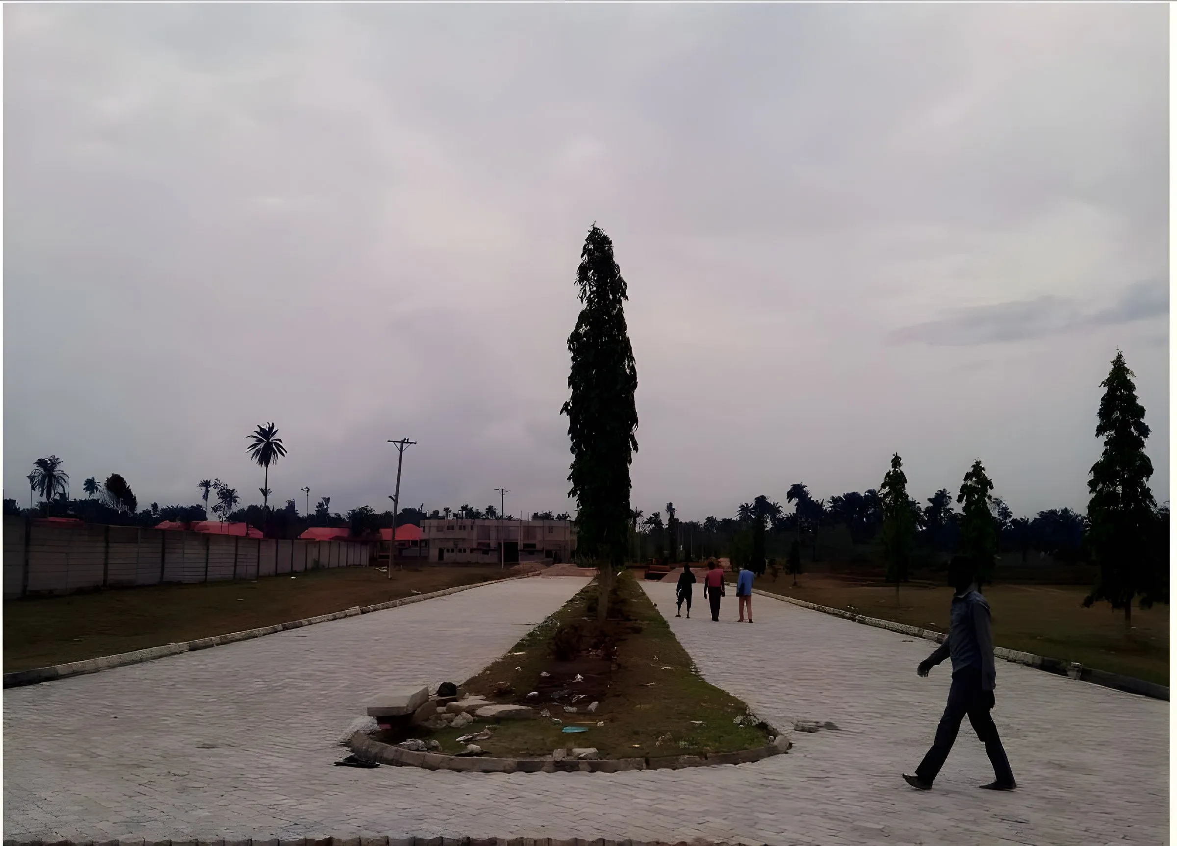 Paved boulevard with young trees in a Livingstone estate